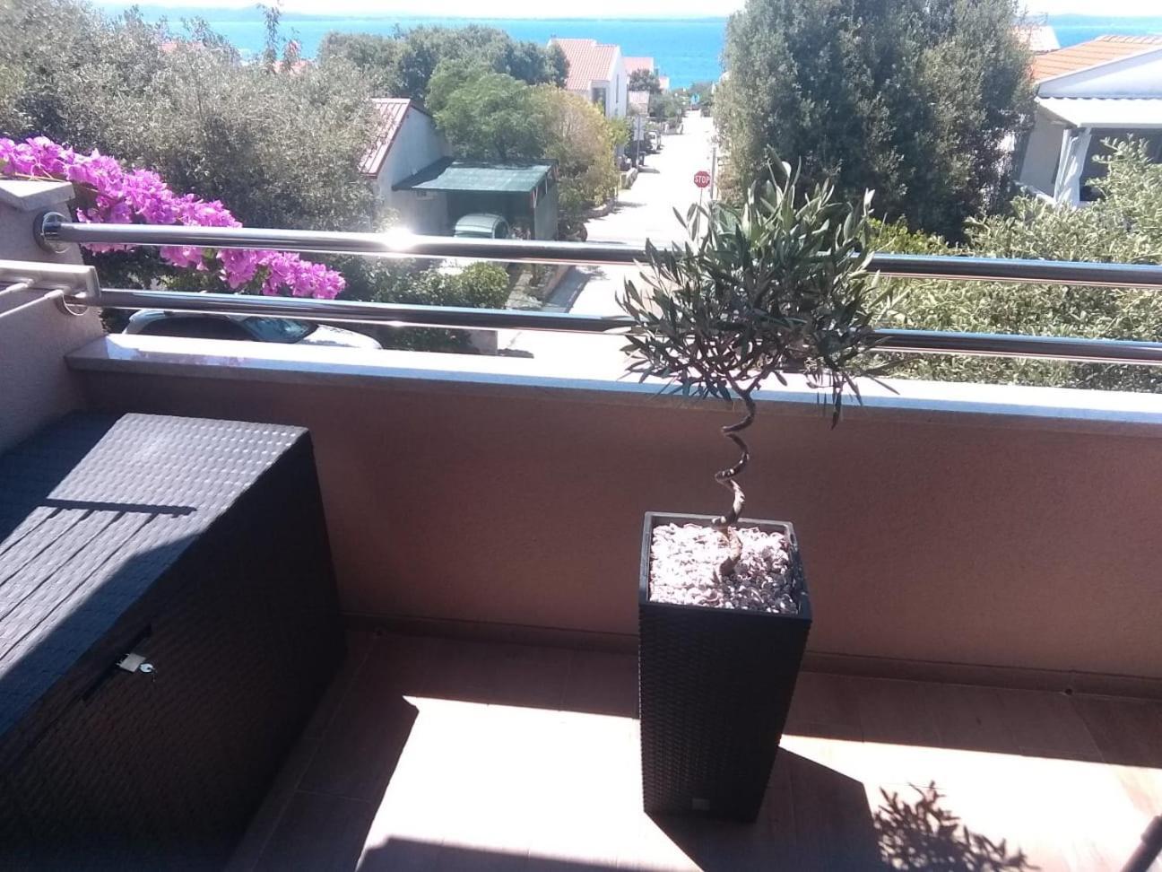 Apartment Vila Nina Petrčane Pokój zdjęcie