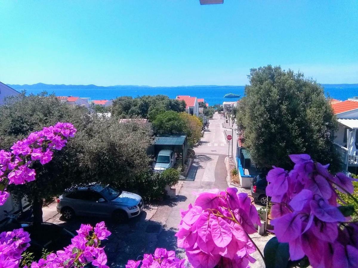 Apartment Vila Nina Petrčane Zewnętrze zdjęcie